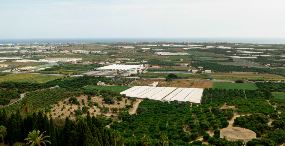 2005